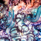 Zooids: Faces of Tiny Warriors